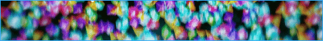 68164c6f9e2f464c8ec9ff79.gif
