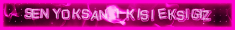Banner 2