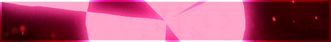 Banner 1